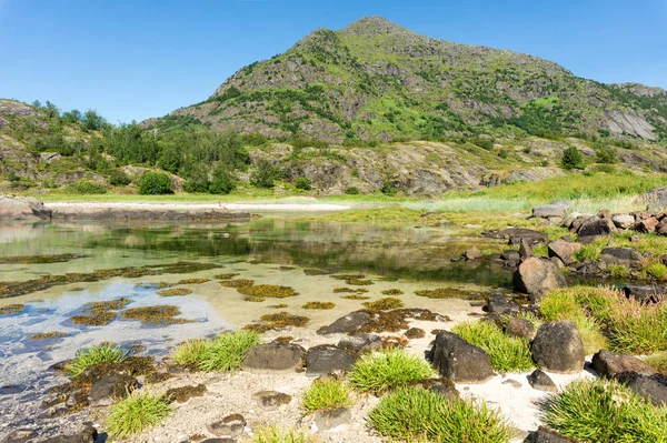 Turquoise Water Bay Stones Green Grass Summer Arsteinen Island Lofoten — Stock Photo, Image