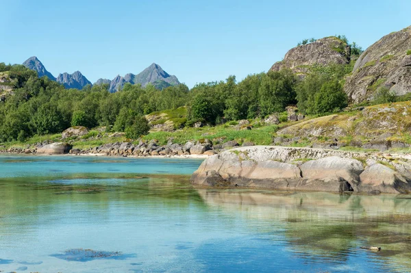 Tyrkysové Vody Zálivu Kameny Zelené Trávy Létě Souostroví Lofoty Norsko — Stock fotografie