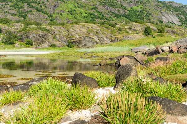 Бірюзові Води Затоки Камені Зеленій Траві Влітку Прибуття Архіпелагу Норвегія — стокове фото