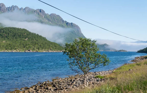 Stony Shore Blue Bay Background Mountains Fog Lofoten Norway — Stock Photo, Image