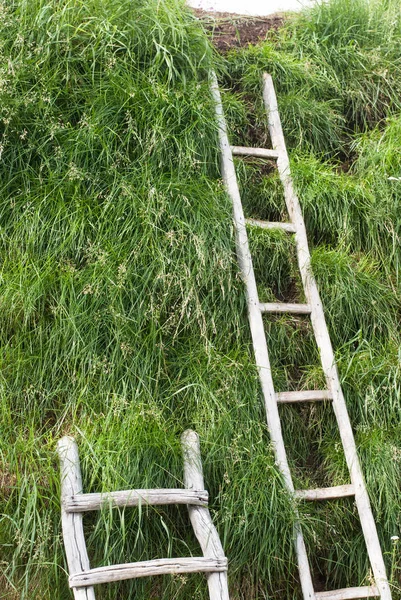 Αρχαία Κτήρια Της Σάμης Abisko Εθνικό Πάρκο Σουηδία — Φωτογραφία Αρχείου