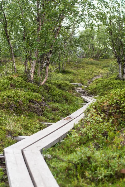 Paisaje Natural Parque Nacional Abisko Suecia —  Fotos de Stock