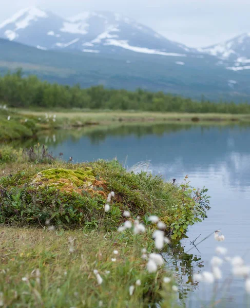 Paisagem Natural Parque Nacional Abisko Suécia — Fotografia de Stock