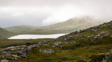 Taşlı tepelerde yaz, Soroya Adası, Norveç