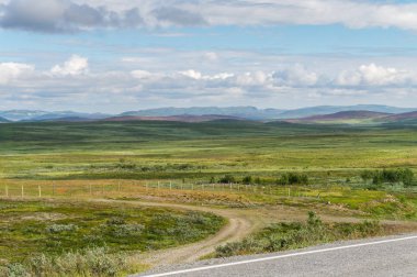 Kutup tundra karakteristik manzara. Düşük ağaçlar, çalılar, çim, northern Norway