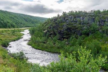 Kutup tundra karakteristik manzara. Düşük ağaçlar, çalılar, çim, northern Norway