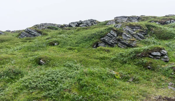 Rockyy Холмы Лето Остров Soroya Норвегия — стоковое фото
