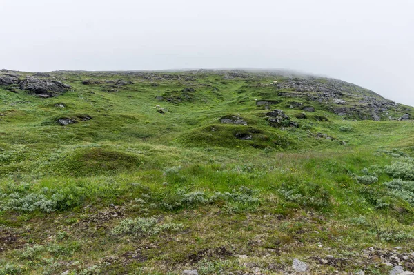 Steinige Hügel Sommer Insel Soroya Norwegen — Stockfoto