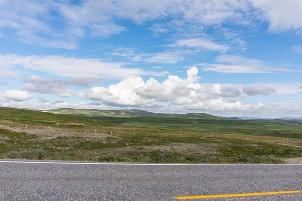 Paisagem Característica Tundra Ártica Árvores Baixas Arbustos Grama Norte Noruega — Fotografia de Stock