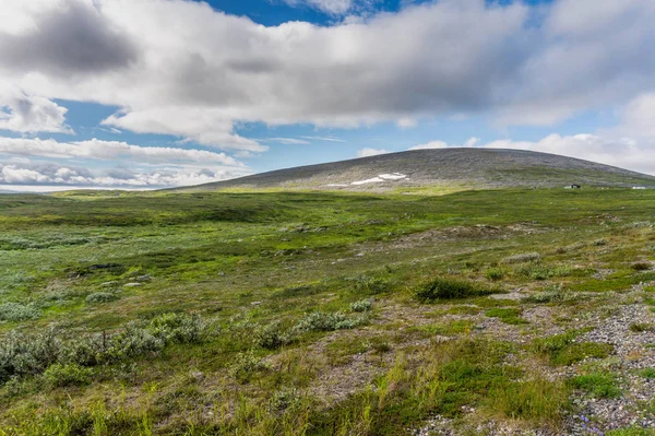 Χαρακτηριστικό Τοπίο Της Αρκτικής Τούνδρας Χαμηλά Δέντρα Θάμνοι Γκαζόν Βόρεια — Φωτογραφία Αρχείου