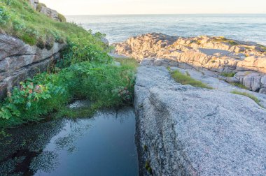 Barents Denizi, Mageroyya Adası, Norveç kayalık bir kıyısında