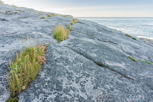 Una Costa Rocosa Del Mar Barents Isla Mageroyya Noruega — Foto de Stock