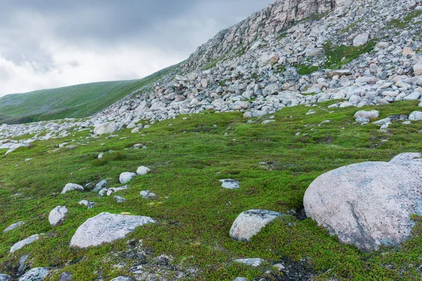 Rotsachtig Terrein Vegetatie Het Eiland Mageroyya Noorwegen — Stockfoto