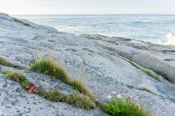 Barents Denizi Mageroyya Adası Norveç Kayalık Bir Kıyısında — Stok fotoğraf