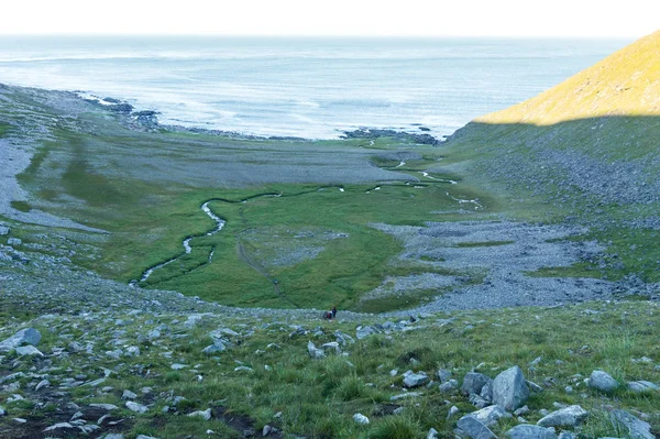 Een Rotsachtige Kust Van Barentsz Zee Mageroyya Island Noorwegen — Stockfoto