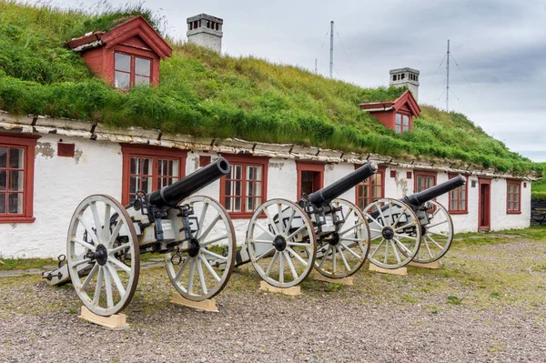 Vardo, Norveç - 13 Ağustos 2017: Binalar ve silah Vardohus kale