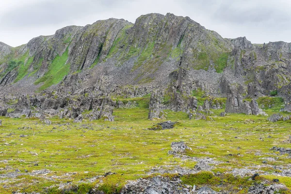 Skaliste Klify Wybrzeżu Morza Barentsa Park Narodowy Varangerhalvoya Półwyspu Varanger — Zdjęcie stockowe