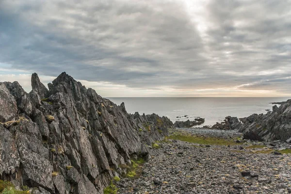巴伦支海海岸的岩石悬崖 瓦朗格哈尔霍维亚国家公园 瓦朗格半岛 芬马克 — 图库照片