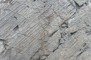 Barents Denizi, Varangerhalvoya Milli Parkı, Varanger Yarımadası, Finnmark, Norveç kıyıları kayalık uçurumlarda. Taş dokusuna