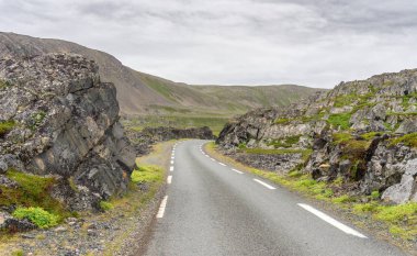 Finnmark, Norveç Barents Denizi, Varangerhalvoya Milli Parkı, Varanger Yarımadası'nın kıyısındaki kayalık uçurum