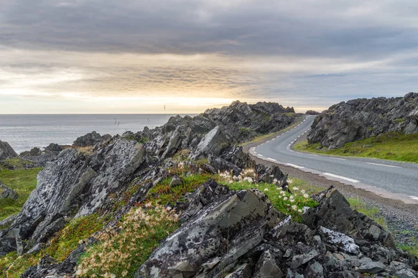 Klipporna Vid Kusten Barents Hav Varangerhalvoya Nationalpark Varangerhalvön Finnmark Norge — Stockfoto