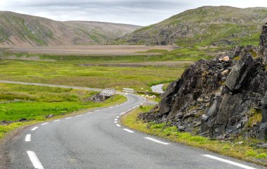 Varanger Ulusal Turist Rotası boyunca otlayan koyun, Finnmar