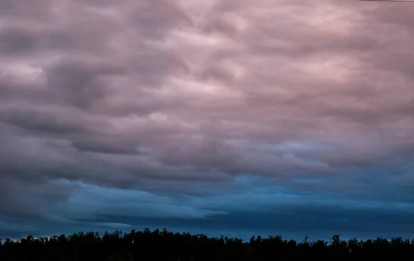 Roze en blauwe wolken boven het bos — Stockfoto