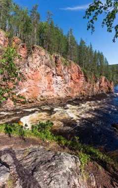 Fırtınalı nehrin üzerindeki kayalarda yüksek ladin, Finlandiya