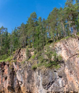 Kayalar üzerinde yüksek ladin, Finlandiya
