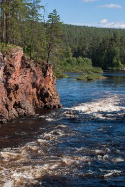 Fırtınalı nehrin üzerindeki kayalarda yüksek ladin, Finlandiya