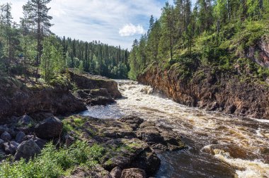 Fırtınalı nehrin üzerindeki kayalarda yüksek ladin, Finlandiya
