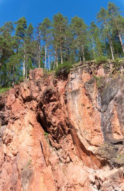 Kayalar üzerinde yüksek ladin, Finlandiya