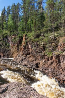 Fırtınalı nehrin üzerindeki kayalarda yüksek ladin, Finlandiya