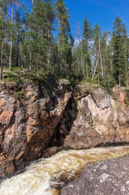 Fırtınalı nehrin üzerindeki kayalarda yüksek ladin, Finlandiya