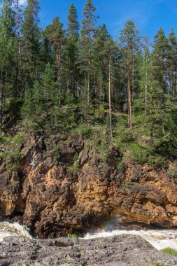 Fırtınalı nehrin üzerindeki kayalarda yüksek ladin, Finlandiya