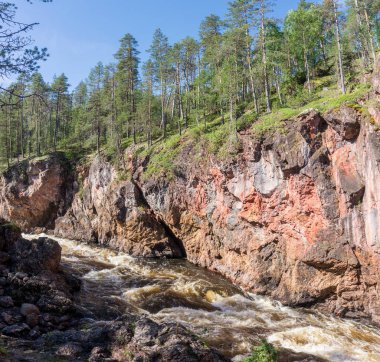Fırtınalı nehrin üzerindeki kayalarda yüksek ladin, Finlandiya