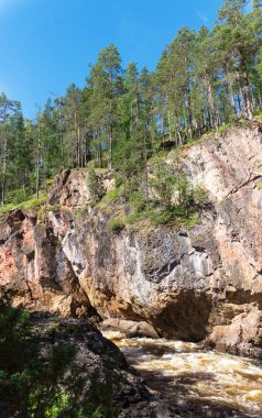 Fırtınalı nehrin üzerindeki kayalarda yüksek ladin, Finlandiya