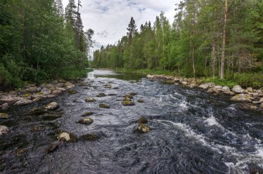 Fırtınalı nehir üzerindeki orman, Finlandiya