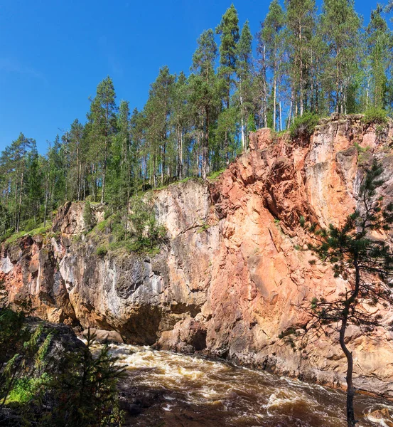 Fırtınalı nehrin üzerindeki kayalarda yüksek ladin, Finlandiya