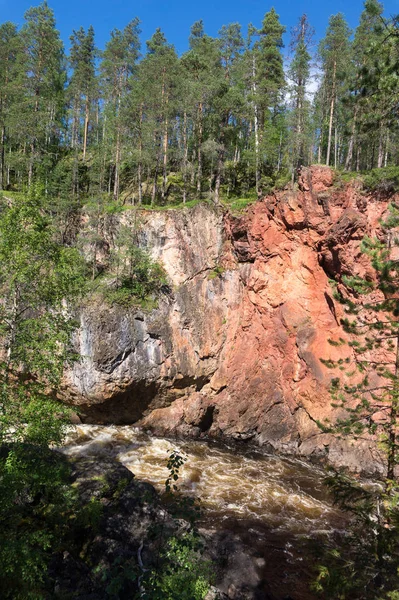 Висока ялина на скелях над бурхливою річкою, Фінляндія — стокове фото