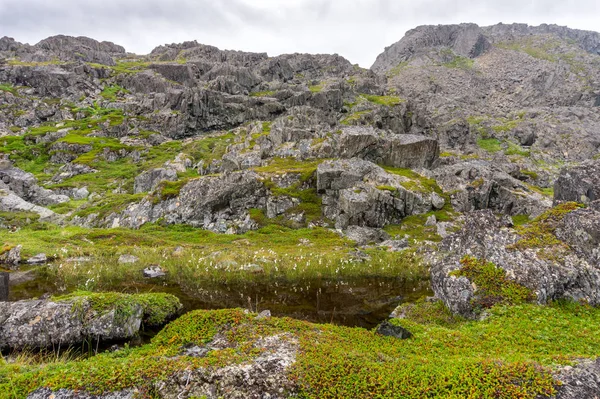 Rotsachtige landschap langs de Varanger nationale toeristische route, Finnm — Stockfoto