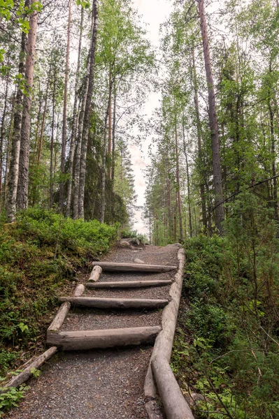Ormanda yürüyüş rotası, Finlandiya