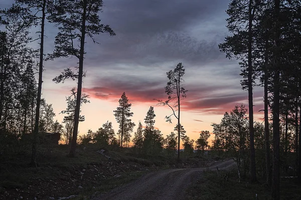 A estrada de terra e os contornos das árvores ao pôr do sol — Fotografia de Stock