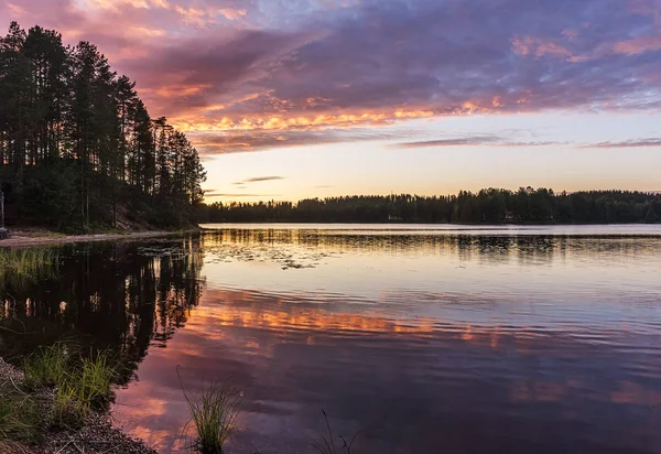 Las o zachodzie słońca nad jeziorem — Zdjęcie stockowe