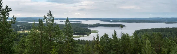 Yaz aylarında orman ve büyük göller, Finlandiya — Stok fotoğraf