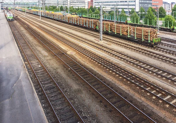 Demiryolu üzerinde kargo platformlarında yuvarlak kereste — Stok fotoğraf