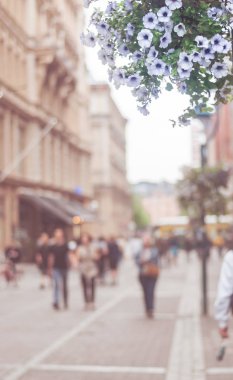 Bir şehir caddesinde çiçekli petunya