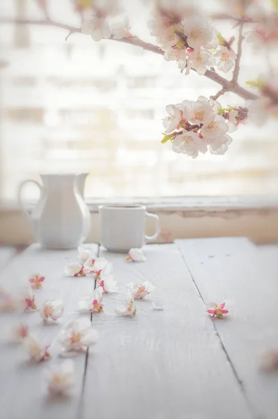 Tasse Kaffee, Milch und Aprikosenblütenzweig auf weißem Holz — Stockfoto