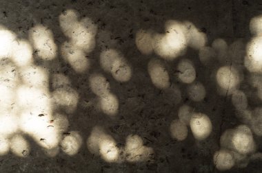 Taş yüzeyinde ki güneş ışığı yamaları