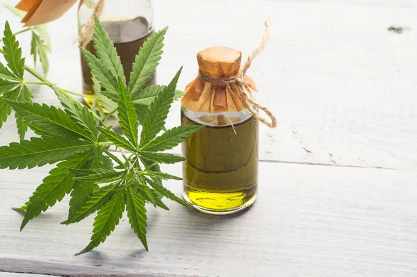 Hemp oil in small bottles — Stock Photo, Image